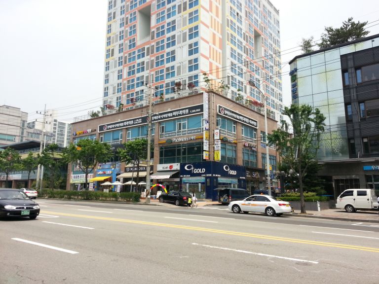 장미꽃과나이팅게실 외과.피부과