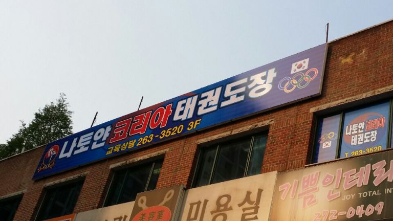 나토얀태권(수지)